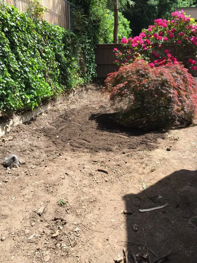 Trusted landscaping services near you in Longview, WA by Between Trees