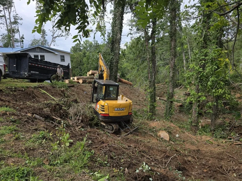 Top-rated residential landscaping experts serving Asheville, NC - Bevans Tree Service