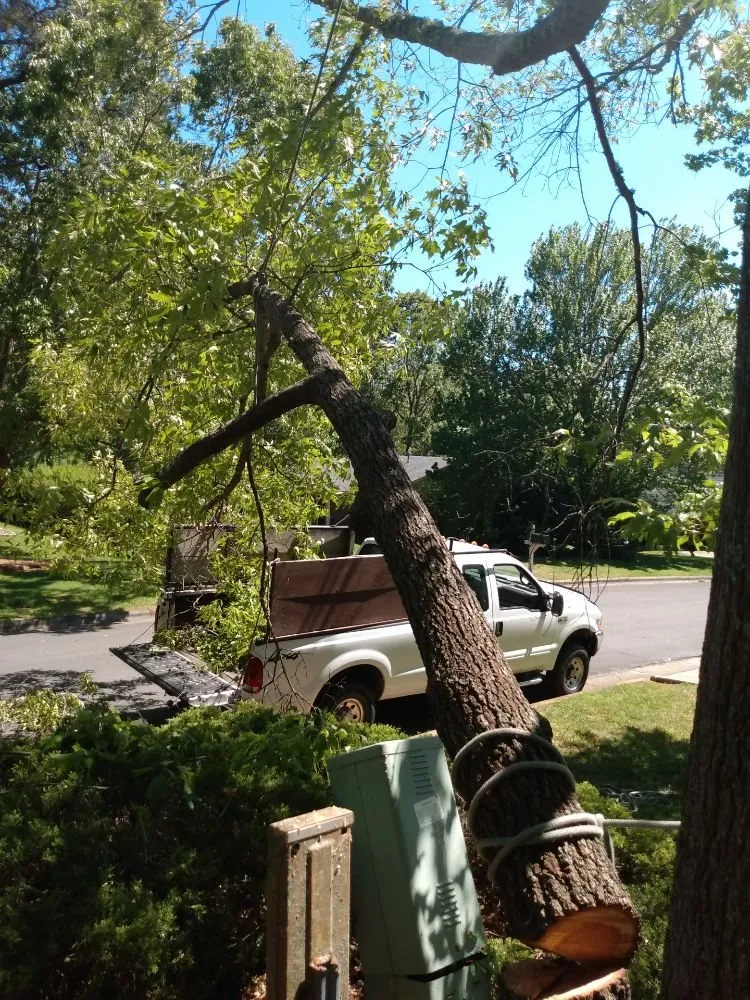 Trusted outdoor landscaping in Asheville, NC by Bevans Tree Service