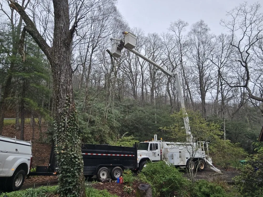 Expert lawn mowing service in Asheville, NC - Bevans Tree Service