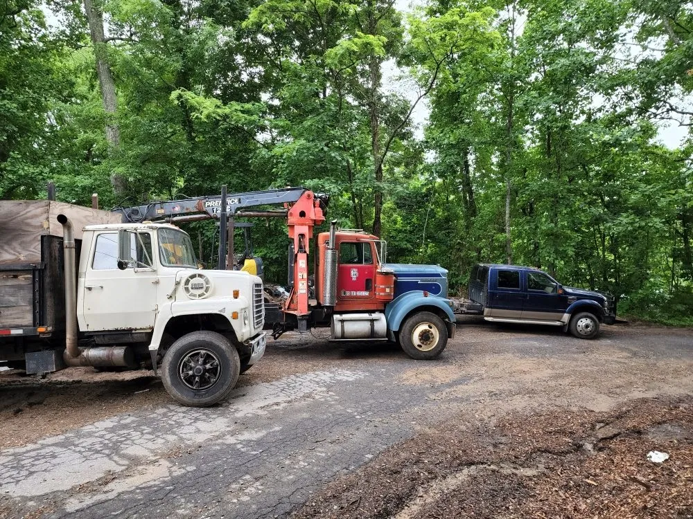 Affordable landscaping services for homes across Asheville, NC - Bevans Tree Service