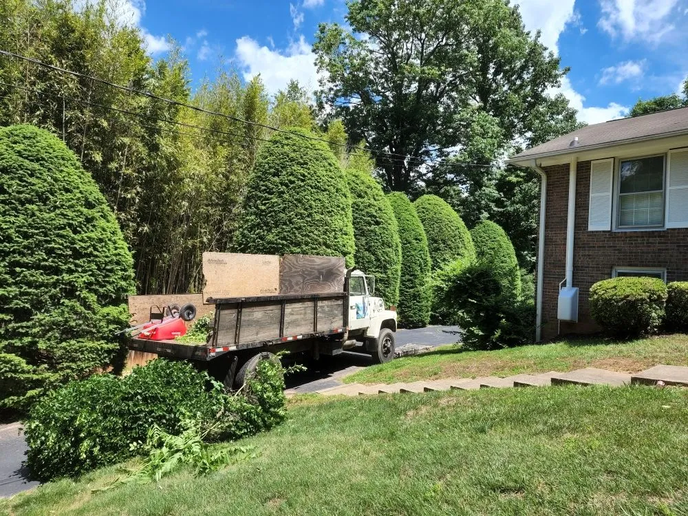 Professional landscaping services in Asheville, NC by Bevans Tree Service