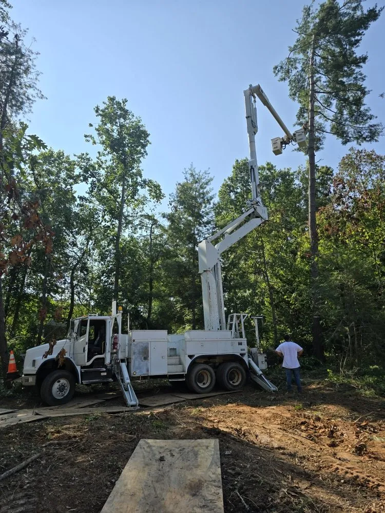 Reliable landscape installation for year-round maintenance in Asheville, NC by Bevans Tree Service