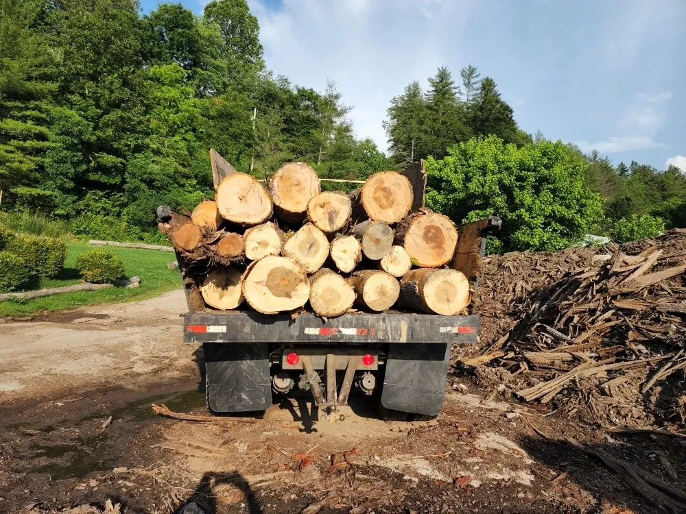 Expert lawn mowing service in Asheville, NC - Bevans Tree Service