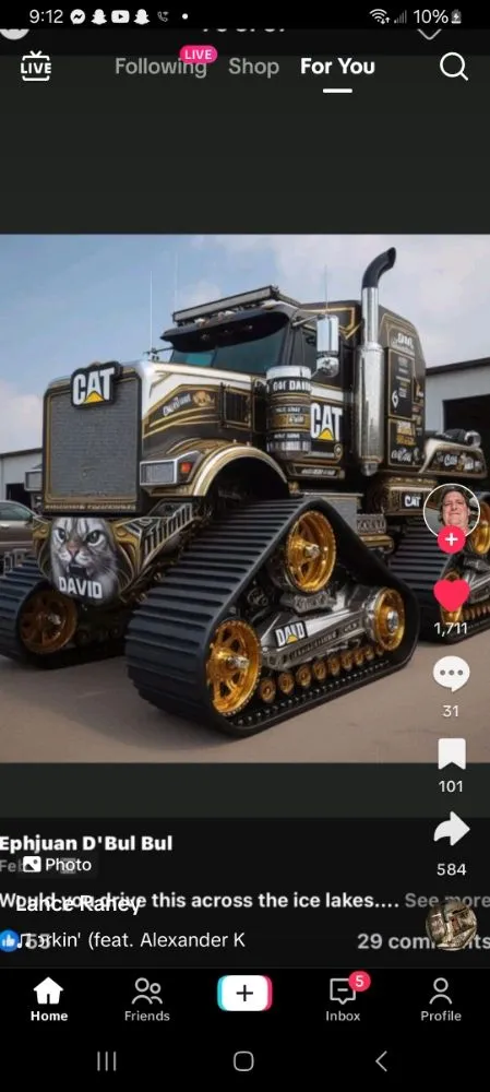 Top-rated yard cleanup service for year-round maintenance across Asheville, NC - Bevans Tree Service