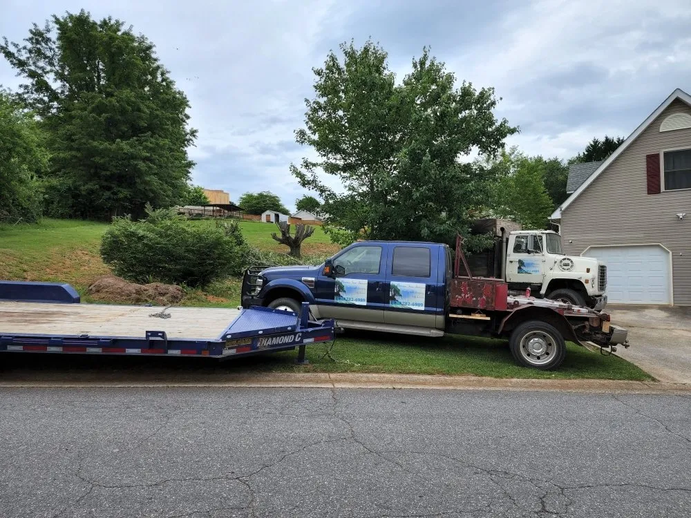 Local yard cleanup service experts serving Asheville, NC - Bevans Tree Service