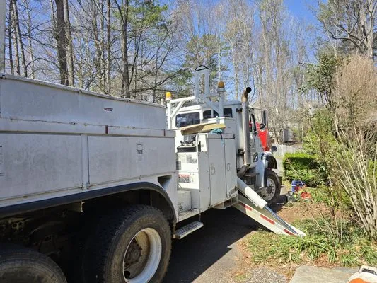 Bevans Tree Service Logo