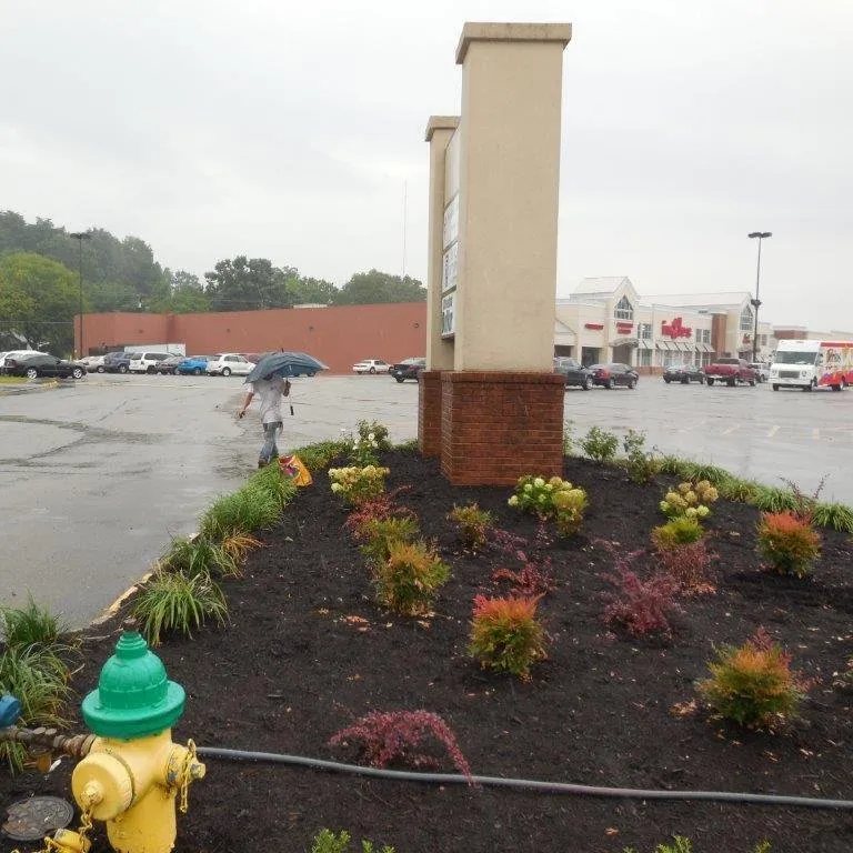 Local yard cleanup service in Maryville, TN - Bevco Parking Services