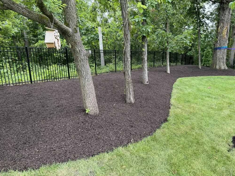 Top-rated outdoor landscaping for outdoor upgrades across Markham, IL - Beverly Companies