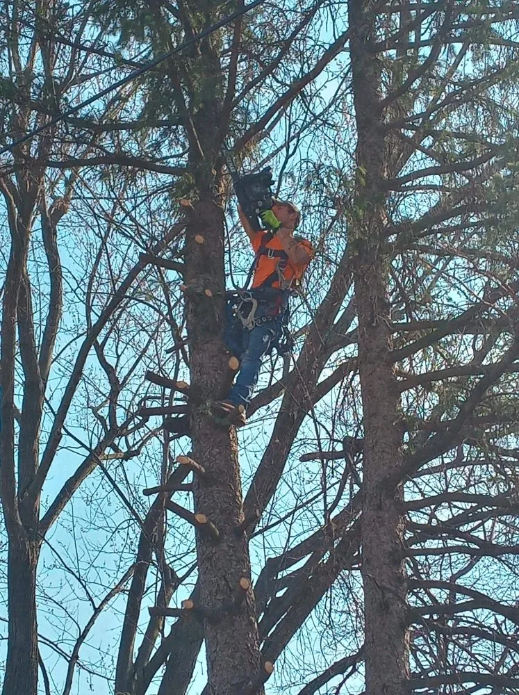 Local residential landscaping in Sidney, OH - Beverlys Tree & Lawn Care