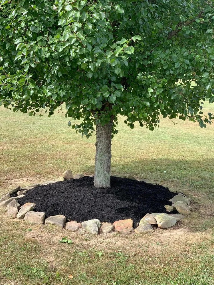 Affordable yard maintenance near you in Beaver, OH by Bevins Lawn Care