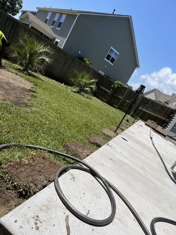 Expert landscape design for year-round maintenance in Baytown, TX by BevoTech