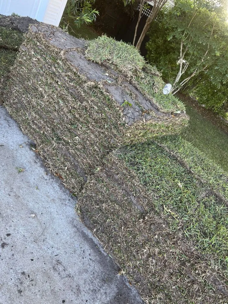 Local landscape installation in Baytown, TX - BevoTech