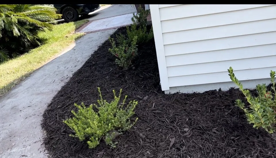 Affordable lawn care service experts serving Baytown, TX - BevoTech