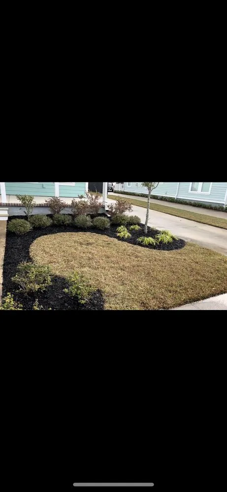 Expert landscape design in Baytown, TX - BevoTech