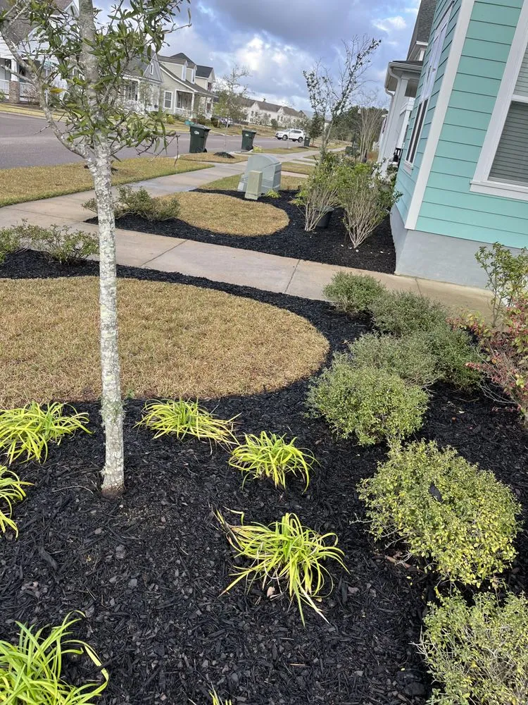 Trusted landscape installation in Baytown, TX by BevoTech