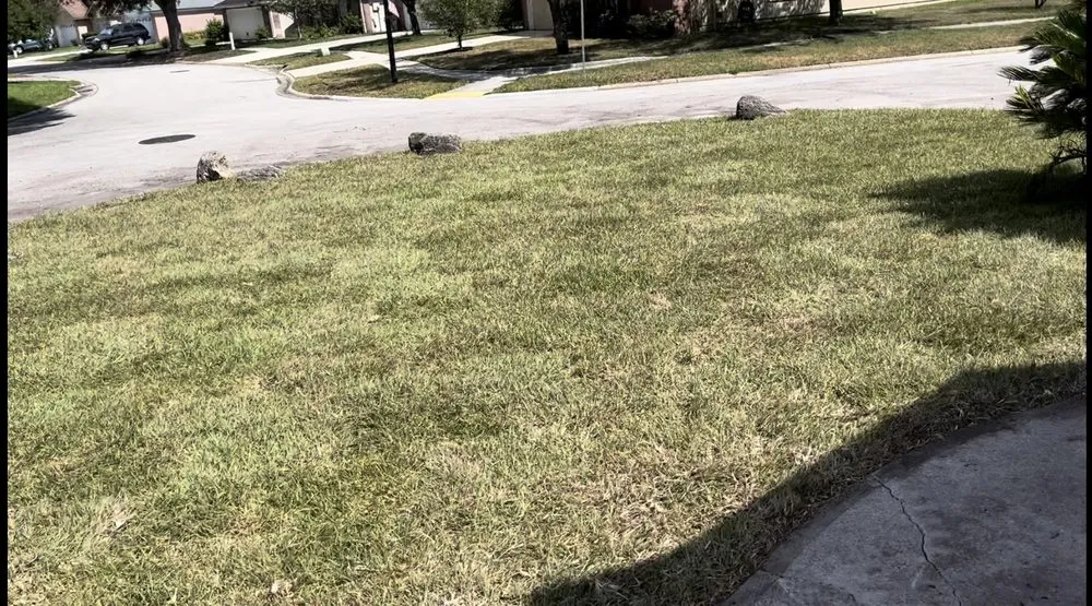 Reliable outdoor landscaping for homes in Baytown, TX by BevoTech