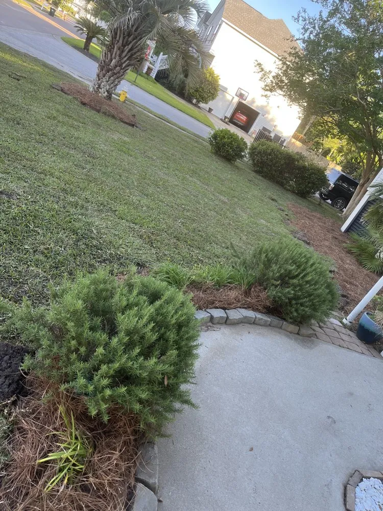 Local outdoor landscaping for homes across Baytown, TX - BevoTech