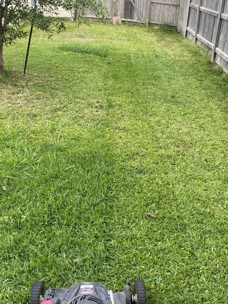 Local landscape design in San Antonio, TX by Bexar County Mowing