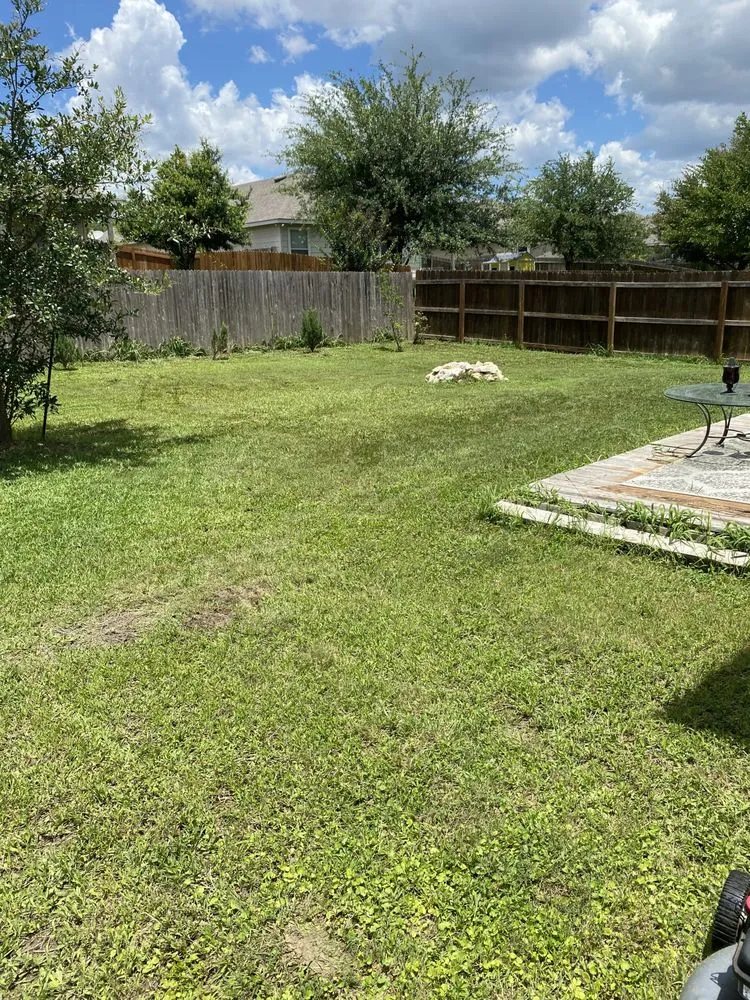 Professional yard maintenance experts serving San Antonio, TX - Bexar County Mowing