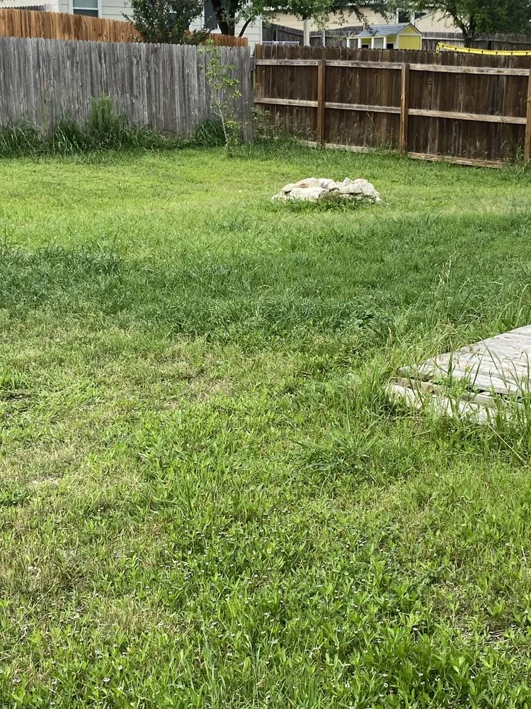 Affordable yard maintenance in San Antonio, TX by Bexar County Mowing