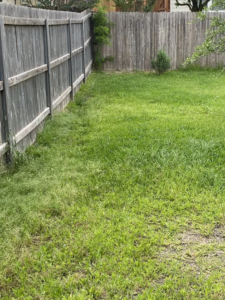 Top-rated landscape design experts serving San Antonio, TX - Bexar County Mowing