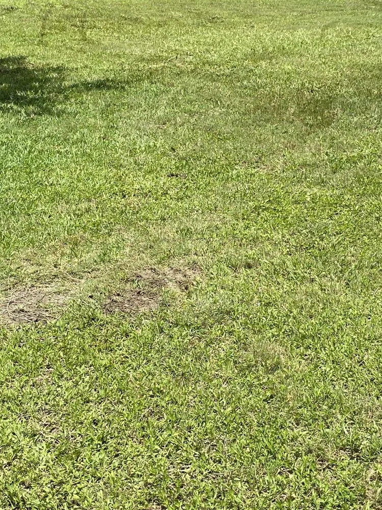 Reliable yard maintenance for beautiful yards in San Antonio, TX by Bexar County Mowing