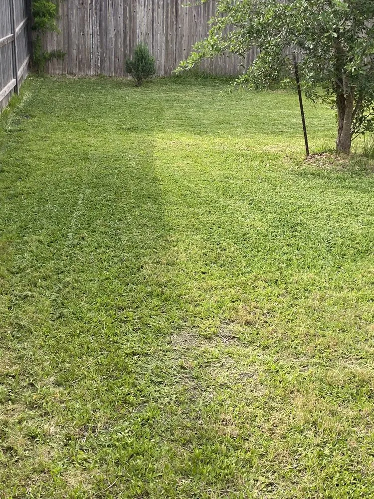 Affordable landscape installation for homes across San Antonio, TX - Bexar County Mowing