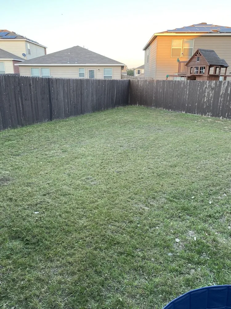 Top-rated lawn mowing service near you in San Antonio, TX by Bexar County Mowing