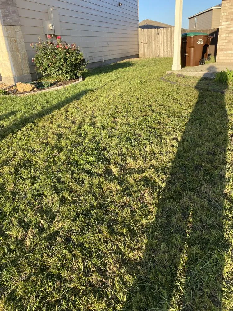Top-rated residential landscaping in San Antonio, TX - Bexar County Mowing