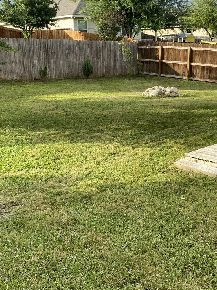 Expert yard cleanup service in San Antonio, TX - Bexar County Mowing