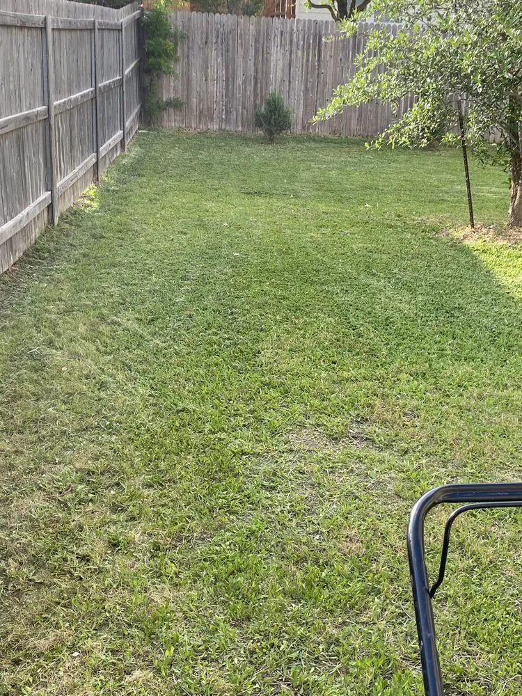 Local yard maintenance in San Antonio, TX - Bexar County Mowing