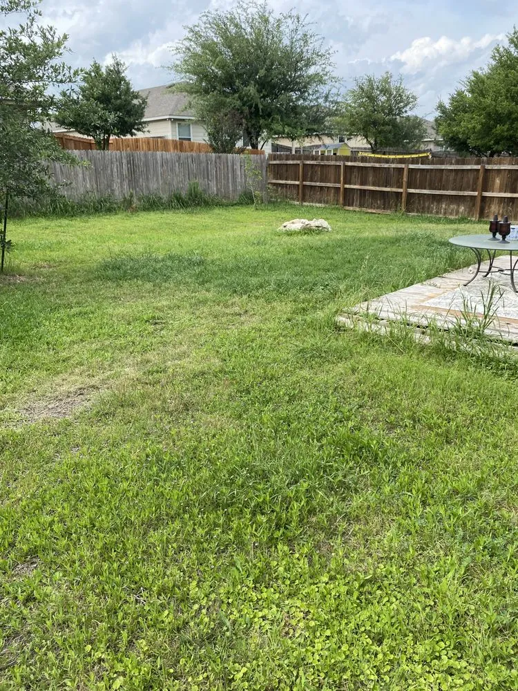 Trusted lawn mowing service for outdoor upgrades in San Antonio, TX by Bexar County Mowing