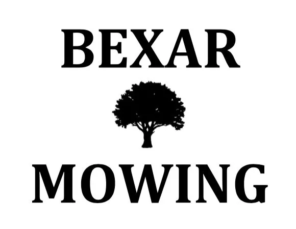 Local lawn care service experts serving San Antonio, TX - Bexar Mowing