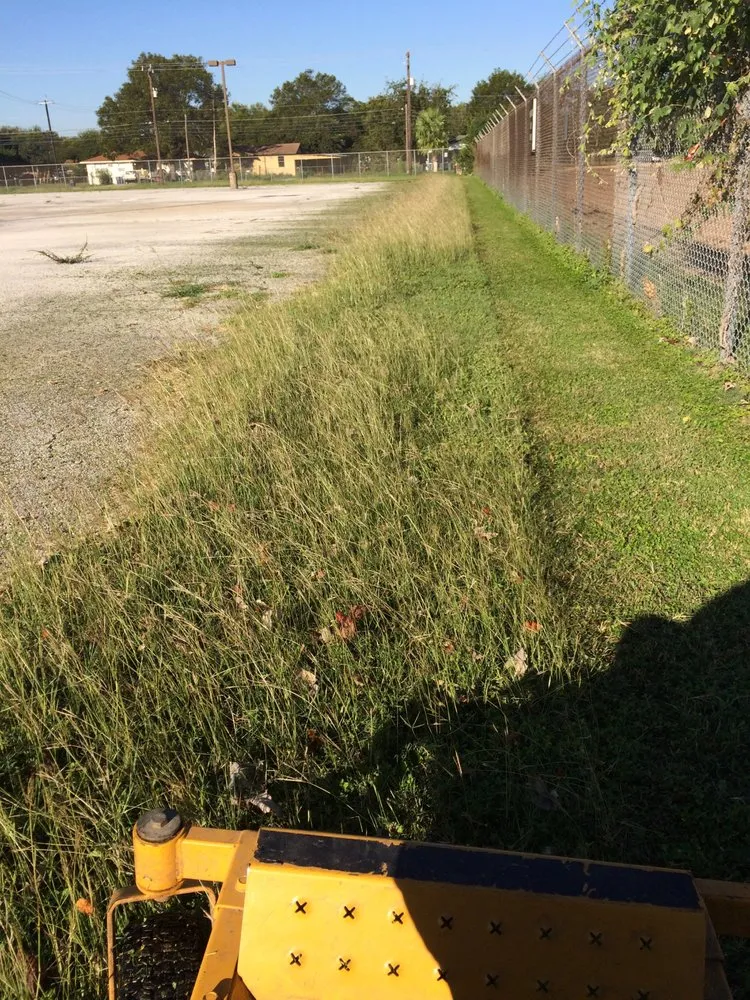 Affordable yard cleanup service in San Antonio, TX by Bexar Mowing