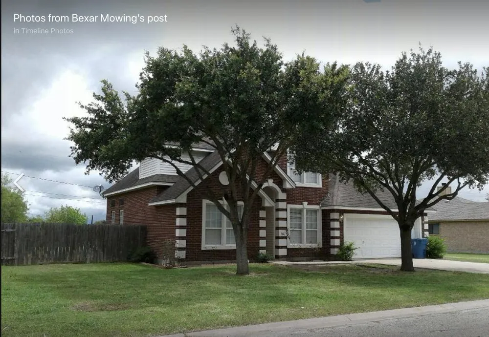 Professional lawn care service near you in San Antonio, TX by Bexar Mowing