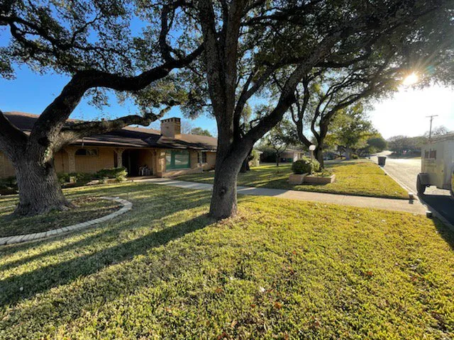 Professional outdoor landscaping for beautiful yards in San Antonio, TX by Bexar Mowing