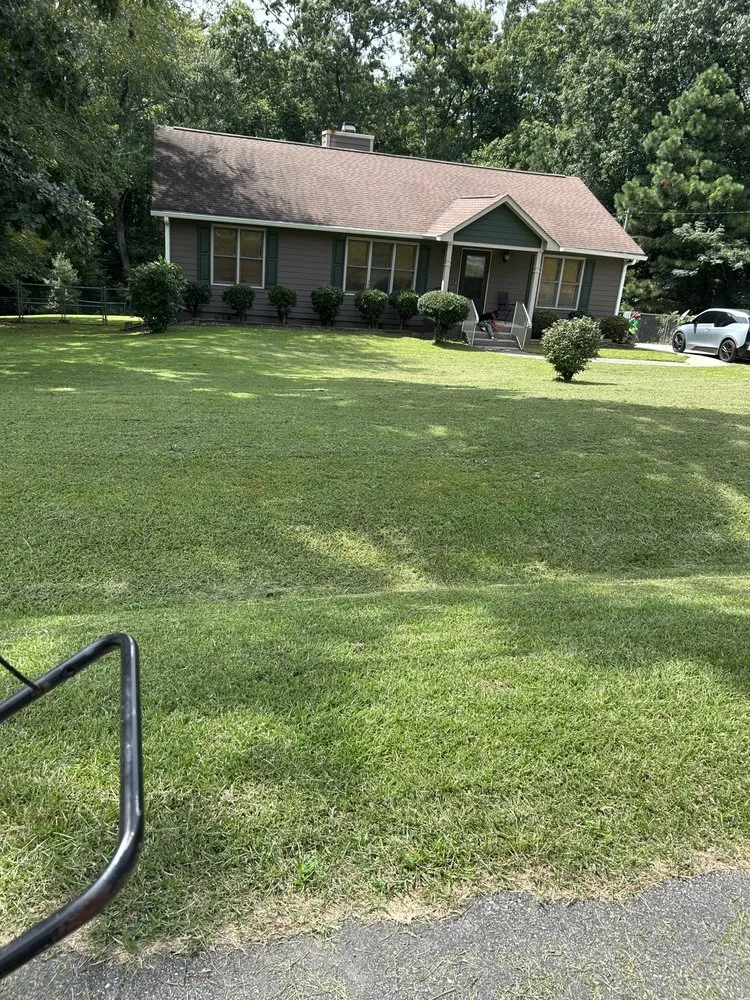 Local yard cleanup service in Durham, NC - Beyah & Son