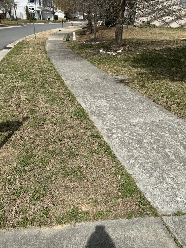 Affordable landscape design for homes across Durham, NC - Beyah & Son