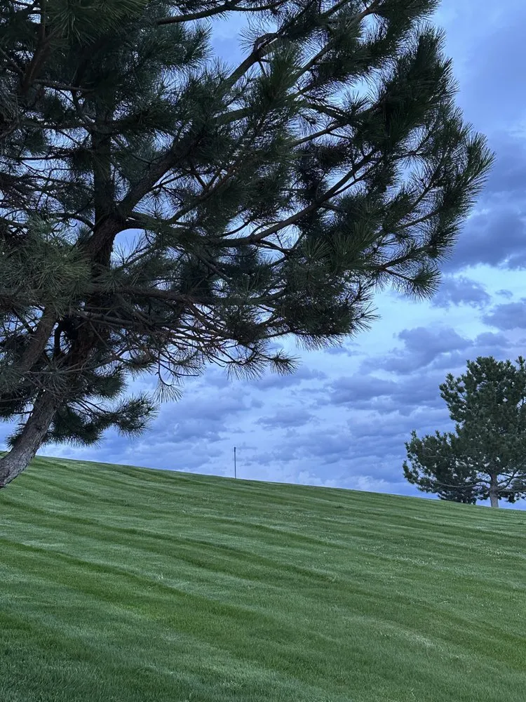 Affordable yard cleanup service in Middleton, ID - Beymer Lawn Care