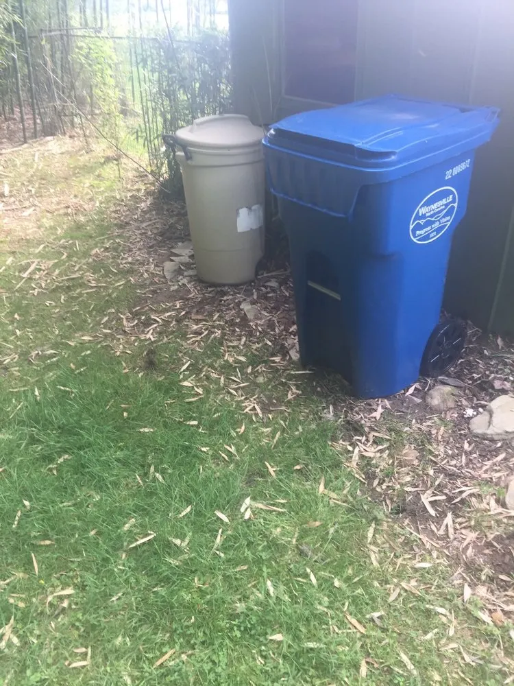 Reliable lawn mowing service in Waynesville, NC by Beyond Blessed Labor