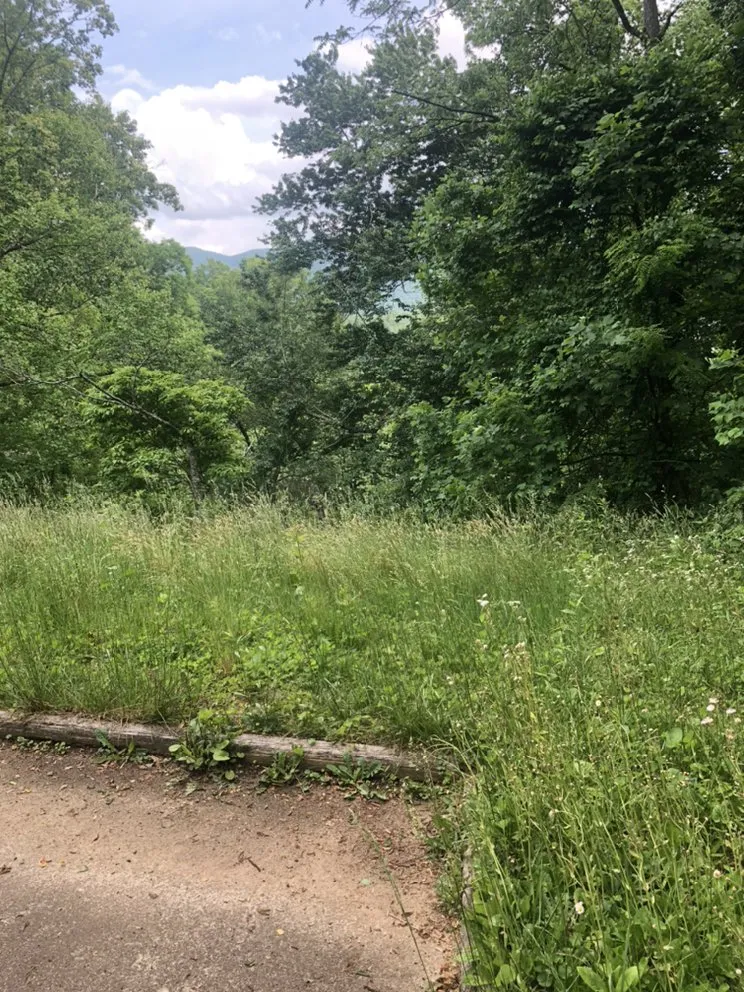 Top-rated landscape installation for beautiful yards in Waynesville, NC by Beyond Blessed Labor