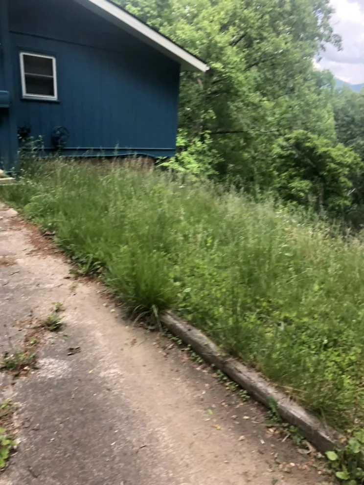 Top-rated landscape design experts serving Waynesville, NC - Beyond Blessed Labor