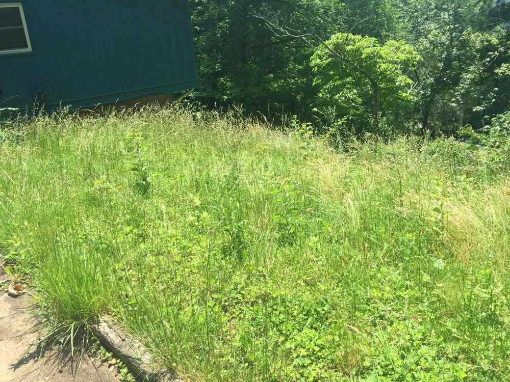 Reliable landscape installation in Waynesville, NC by Beyond Blessed Labor