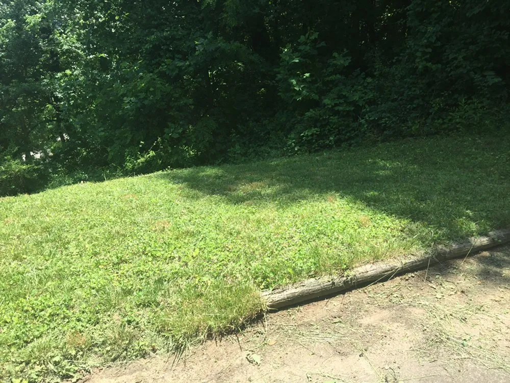 Top-rated lawn care service for homes in Waynesville, NC by Beyond Blessed Labor