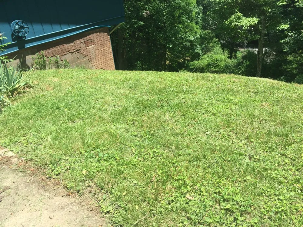 Custom outdoor landscaping in Waynesville, NC - Beyond Blessed Labor