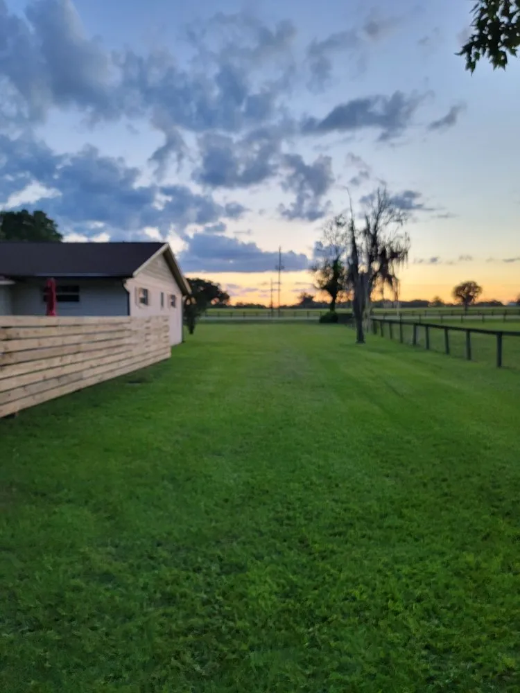 Affordable landscaping services for homes in Citra, FL by Beyond Cuts Lawn Care