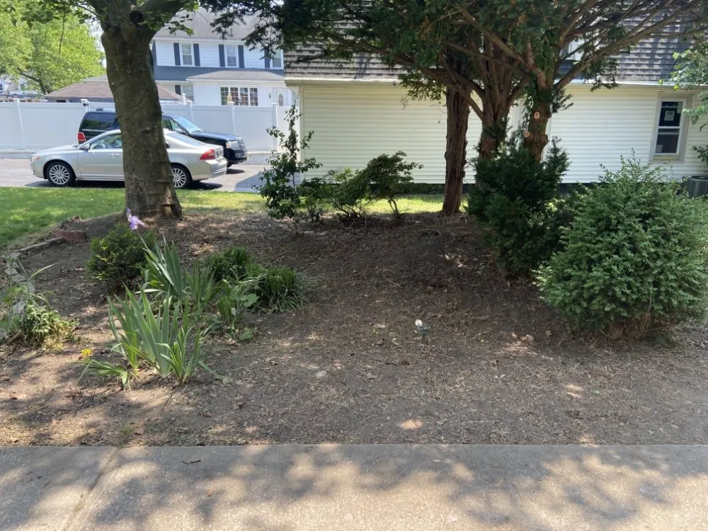 Affordable yard cleanup service for residential properties in Pennsauken Township, NJ by Beyond Cutting Edge Landscaping