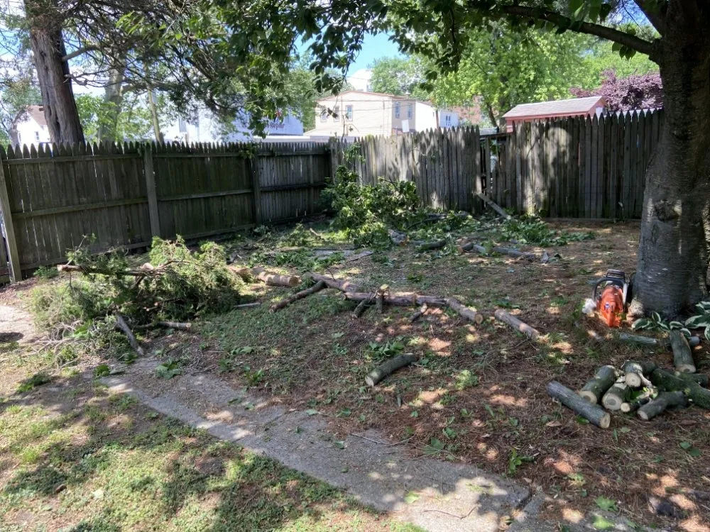 Reliable yard cleanup service near you across Pennsauken Township, NJ - Beyond Cutting Edge Landscaping