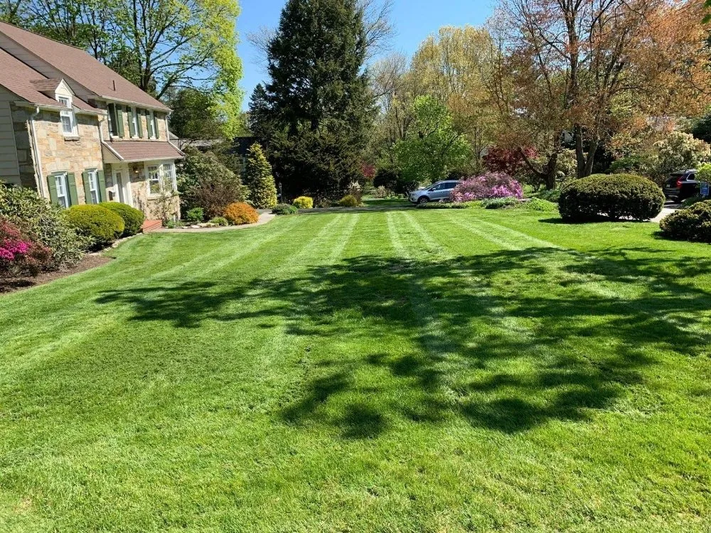 Local lawn care service experts serving Pennsauken Township, NJ - Beyond Cutting Edge Landscaping